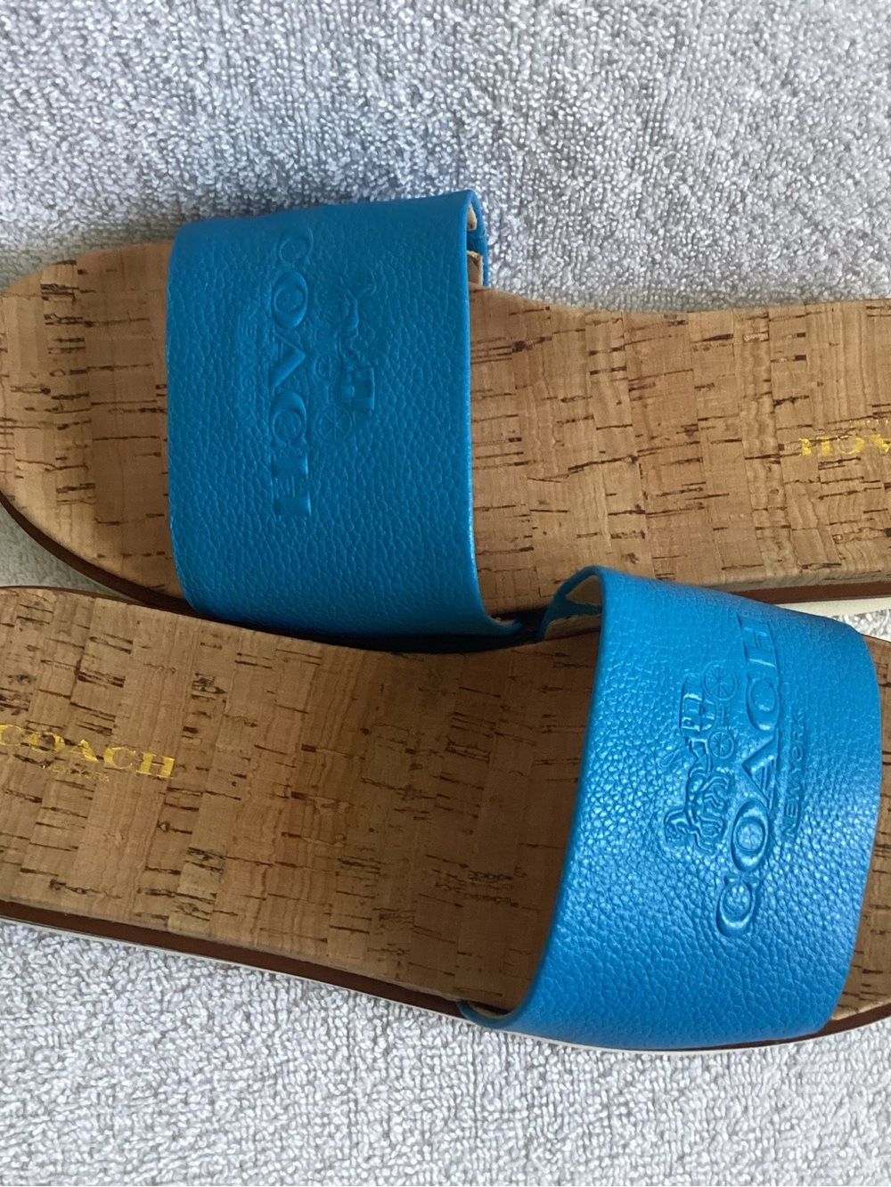 Coach Spruce Azure Blue Pebble Grain Leather Cork Slide Sandals Shoes 8.5